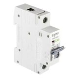 Sigma - 1P C 40 6Ka Monofaze Anahtarlı Otomatik Sigorta 6Sm140c
