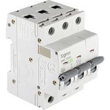 Sigma 1X20A 3ka C Tip Otomatik Sigorta