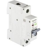 Sigma 1X63A 3ka C Tip Otomatik Sigorta
