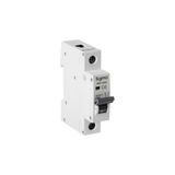 Sigma 6SM101C C Tipi 1 Faz 1A 6kA Otomatik Sigorta