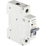 Sigma 6SM102B B Tipi Monofaze 2A 6ka Otomatik Sigorta