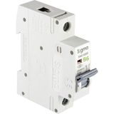Sigma 6SM106B B Tipi Monofaze 6A 6ka Otomatik Sigorta