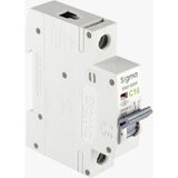 Sigma 6SM116C 1p C16 6ka Otomatik Sigorta