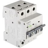 Sigma 6SM320C C Tipi Trifaze 3X20A 6ka Otomatik Sigorta