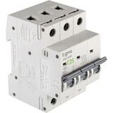 Sigma 6SM325C C Tipi Trifaze 3X25A 6ka Otomatik Sigorta