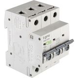 Sigma 6SM350C C Tipi Trifaze 3X50A 6ka Otomatik Sigorta