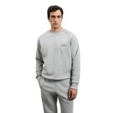 Sıgma Erkek Sweatshirt Açık Gri