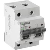 Sigma SLD6000 6ka 2p C100 Otomatik Sigorta
