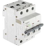 Sigma SLD6000 6ka 4p C125 Otomatik Sigorta