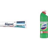 Signal Diş Macunu Üçlü Koruma, 120 ml(1) Domestos Yoğun Kıvamlı Çamaşır Suyu Maksimum Hijyen Dağ Esintisi, 750 ml(5)