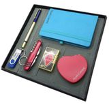 Signator Serena Kartvizitlik, 32 GB USB Bellek + Çakmak + Not Defteri + Çakı + Kalem + El Aynası, Hediye Seti, Karışık Renk