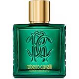 Signature Uomo Verde Assoluto Edp Erkek Parfümü 100 Ml