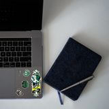 sihir dükkanı Harry Potter Sticker - Slytherin
