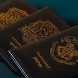 Sihir Dükkanı Slytherin Pasaport Kılıfı Lisanslı Deri