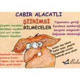 ŞİİRİMSİ BILMECELER MIZAH DIZISI - CABIR ALACATLI