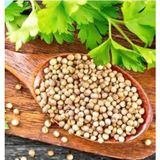 Silifke Market 250 gr Kişniş Aşotu Tohumu