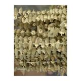 Silifke Market Kuru Bamya 100 Gr