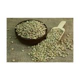 Silifke Market Yeşil Mercimek 1 kg