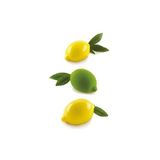 Silikomart Limon & Dosya 120