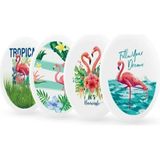 Silka Flamingo Silgi 4 Adet
