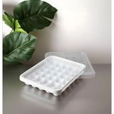 Silkyra 30'lu Plastik Yumurta Saklama Kabı,beyaz