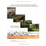 Silva et Saltus en Gaule Romaine : Dynamique et Gestion des Forets et des Zones Rurales Marginales