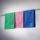 Silva Mikrofiber Cam Bezi Üçlü Set 40x40 cm - Hav ve İz Bırakmayan Cam Silme Bezi, Deterjansız Sadece Suyla Temizlik, Ayna Ekran Çelik ve Oto Camı İçin, Yeşil Mavi Pembe