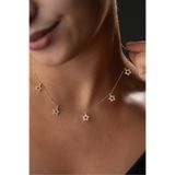 Silvano Jewelry 925 Ayar Gümüş Altın Kaplama Yıldız Şans Kolye