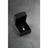 Silvano Jewelry 925 Ayar Gümüş Işıklı Kutuda İnci Model Kolye