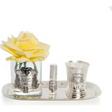 Silver Pirinç Mum&tek Gül Set Sarı