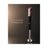 Silvino Stick 4 Bıçaklı Çubuk Blender 900W - Siyah