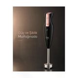Silvino Stick 4 Bıçaklı Çubuk Blender 900W - Siyah