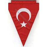 Sim Nakış Türkiye Nakış İşleme Üçgen Bayrak 24×15 Çift taraflı direk takılabilir