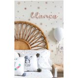 Sim Tasarım Toz Pembe Ve Bej Çiçekler Çocuk Odası Duvar Kapı Cam Sticker Seti