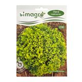 Simagro Kışlık Kıvırcık Marul Tohumu 10Gr Paket