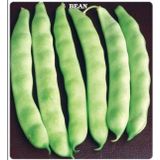 Simbo Oturak Fasulye Tohumu 50+ Tohum N11.4378