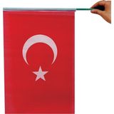 Sina Filamax (10 Adet ) 20X30 cm Pikment Raşel Kumaş Sopalı Türk Bayrağı