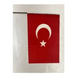 Sina Filamax 10 Adet 50X70 Cm Raşel Kumaş Sopalı Türk Bayrağı