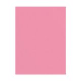 Sınar Fon Kartonu 50X70 Cm 120 Gr. Pembe (100 Lü Paket)