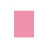 Sinar Spectra 50 x 70 120 gr Pembe Fon Kartonu 100 Lü (1 Paket 100 Adet)
