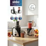 Sinbo SJ-3195 Katı Meyve Sıkacağı Blender Seti metalik-gri