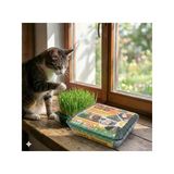 Sindirim Rahatlatıcı Kedi Çimi