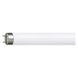 Sinek Ampülü Floresan 10w Bl T8 34,50 Cm Şavk