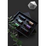 Siner Torque Reed Diffuser 6’lı Minimal Seri Bambu Çubuklu Oda Kokusu (Bambu Koku Set I)