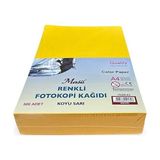 Sinerji Masis Renkli Fotokopi Kağıdı Sarı FK100-S