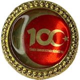 Single Sword Metal Cumhuriyetin 100. Yılı Rozeti