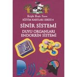 Sinir Sistemi, Duyu Organları, Endokrin Sistemi - Eğitim Kartları Serisi 4 - kollektif