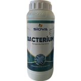 Siova Bacterium 1 lt Mikrobiyal Gübre
