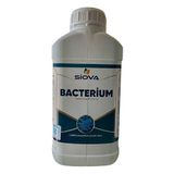 Siova Bacterium 5 lt Mikrobiyal Gübre