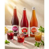 Şiraz Doğal Karadut Şerbeti 1 Litre & Doğal Üzüm Şırası 1 Litre & Doğal Demirhindi Şerbeti 1 Litre 3'lü Set - 250 ml